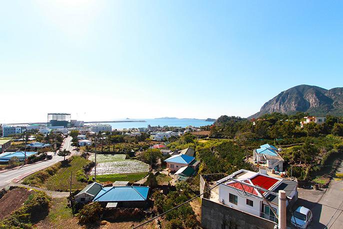 Island Tree Apartment Seogwipo Exterior photo